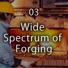 Wide Spectrum of Forging